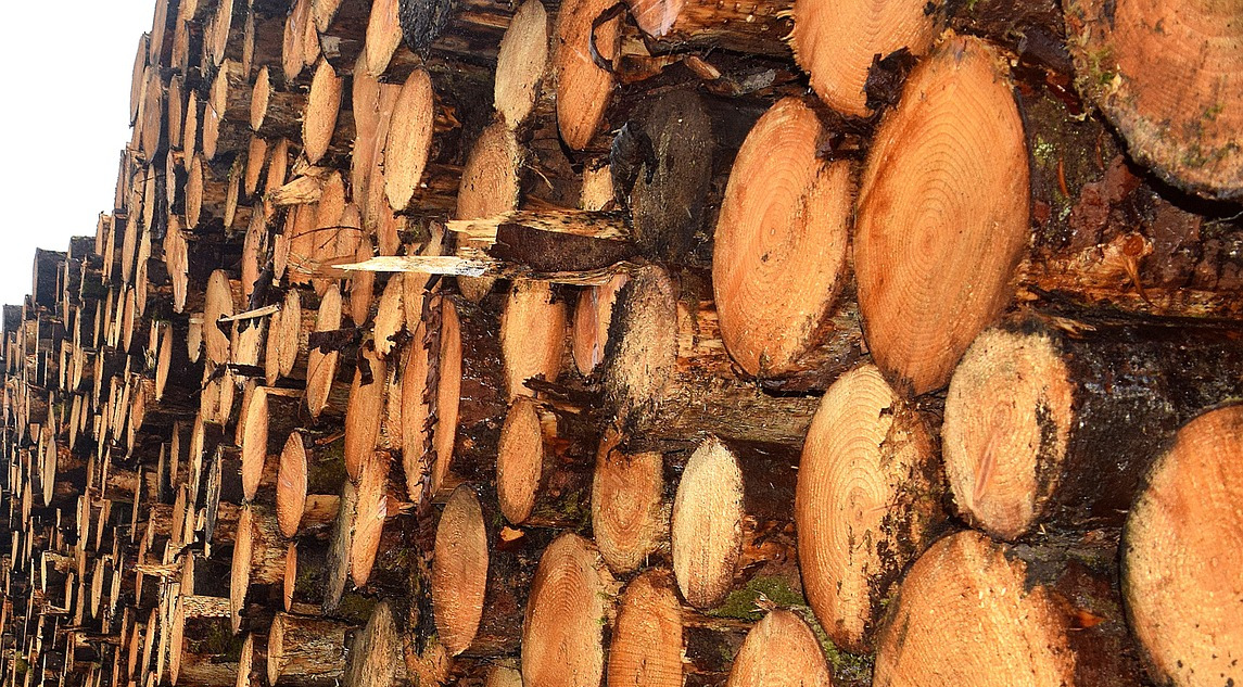 H4 pressure-treated timber posts for outdoor structures