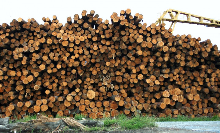 structural timber supply